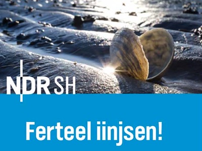 Ferteel iinjsen